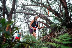 BIB: 
                            <button type="button" onclick="openModal(26296066)" class="btn btn-primary btn-sm float-right btn-popup" data-toggle="modal" data-target=".modal-high-quality">
                        <i class="fas fa-shopping-cart"></i> Add to Cart
                    </button>
                                            <button type="button" onclick="isThisMe(26296066, true)" class="btn btn-success btn-sm float-right btn-popup btn-isme hidden" data-toggle="tooltip" data-placement="bottom" title="นี่คือรูปของคุณใช่ไหม คลิกที่นี่เพื่อเอาเข้าอัลบั้ม">
                        <i class="fas fa-plus"></i> Add to album
                    </button>
                    <button type="button" onclick="isThisMe(26296066, false)" class="btn btn-warning btn-sm float-right btn-popup btn-isnotme hidden">
                        <i class="fas fa-ban"></i> Remove from album
                    </button>